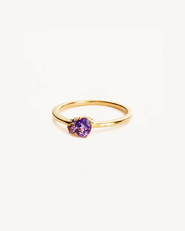 personalized couple rings 18k Gold Vermeil Kindred Birthstone Ring - February