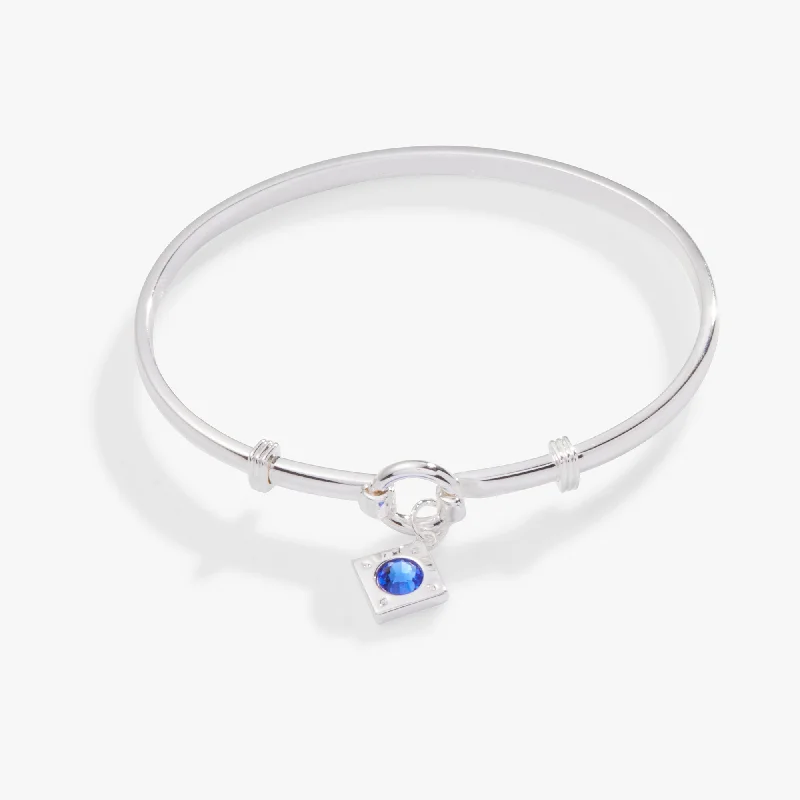 personalized couples ring engraved Crystal Charm Clip Bangle, Sapphire