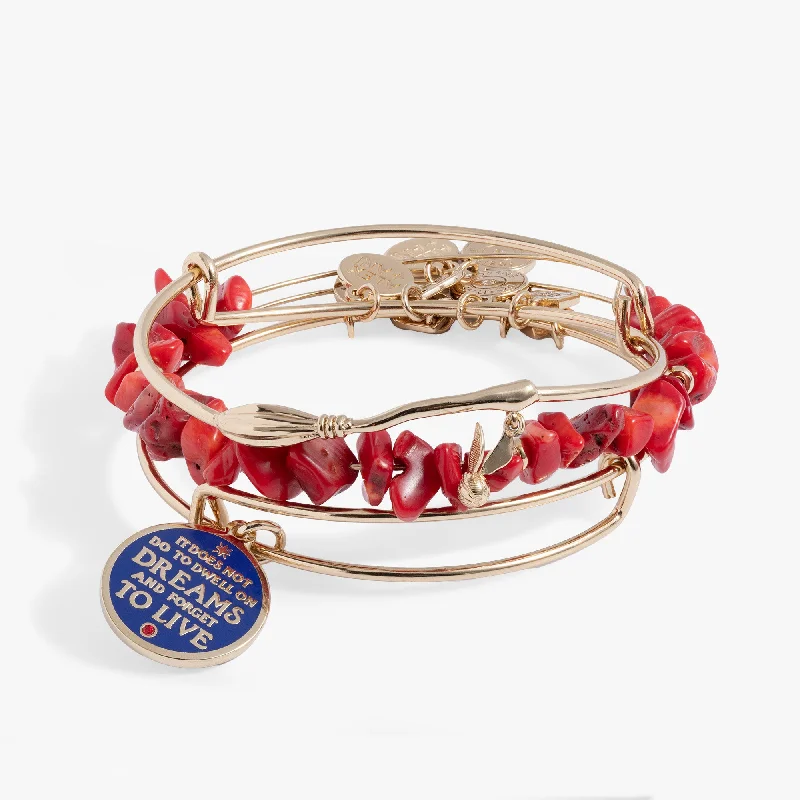 Harry Potter™ Sorcerer’s Stone Bangle Set