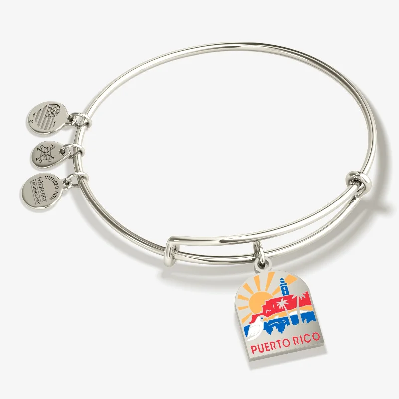 cubic zirconia tennis necklace Puerto Rico Charm Bangle Bracelet