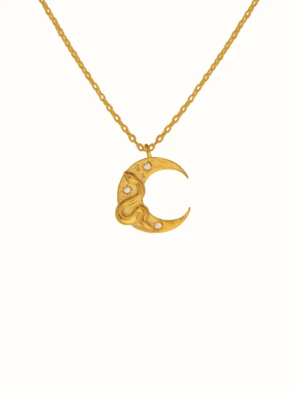 personalized coordinates ring custom Snake Crescent Necklace
